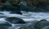 n1271910301_30147407_564.jpg