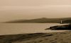 n1271910301_30232443_1971.jpg