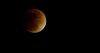 2290596474_47d098493c_b.jpg