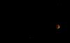 2290610692_38d41da588_b.jpg